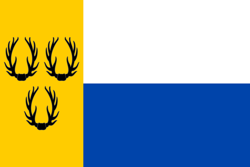 Soubor:Oficiální vlajka Kotovic.png