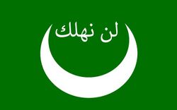 Původní vlajka Mudžahidů