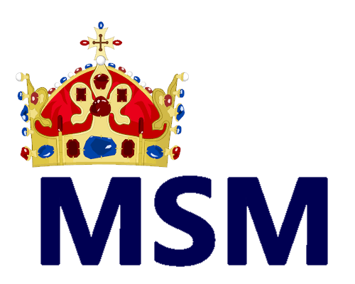 Soubor:MSM logo 1.png