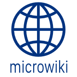 Soubor:MicroWiki Logo 2018.png
