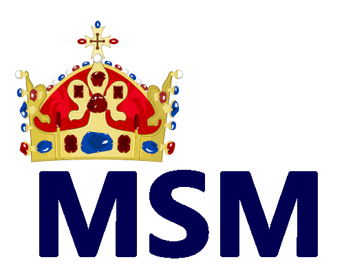 Soubor:MSM Logo.png