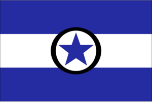 Tokroská vlajka.png