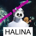 Cover art k písni Halina